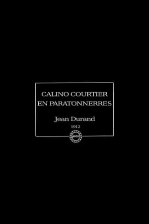 Image Calino courtier en paratonnerres