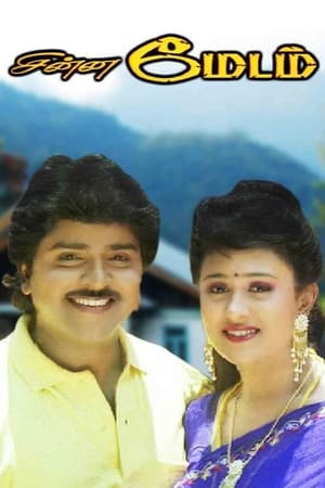 Poster Chinna Madam (1994)