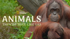Animals, They’re Just Like Us!