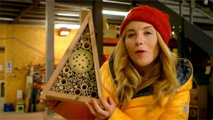 Hamster Wheel and Insect Hotel