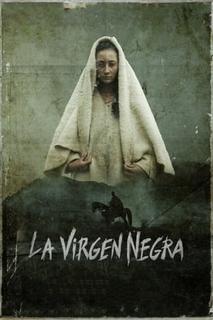 Poster La virgen negra 2018