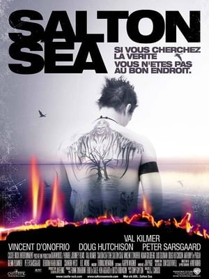 Poster Salton Sea 2002