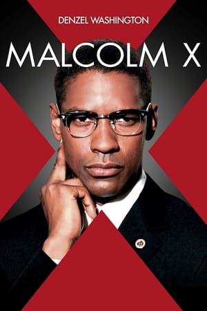 Poster di Malcolm X