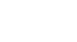 The Hidden Fox