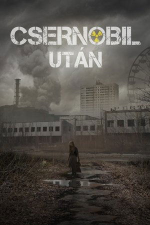 Image Csernobil után