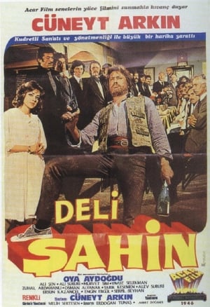 Deli Şahin poster