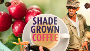 Shade Grown Coffee (2020)