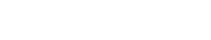 The Witness