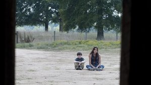 The Walking Dead: 2×8