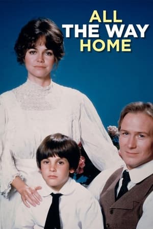 Poster All the Way Home (1981)