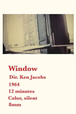 Window film complet