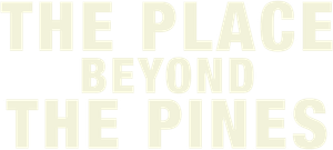 The Place Beyond the Pines