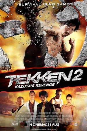 TEKKEN: A Man Called X poster