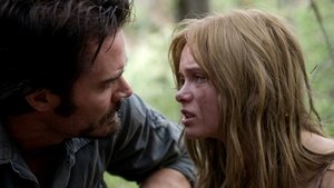 The Last House on the Left ( 2009 )