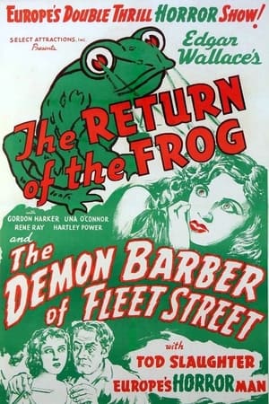 Poster The Return of the Frog (1938)