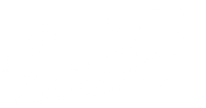Torrente for President