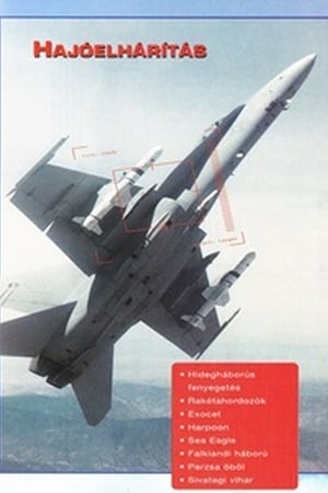 Image Combat in the Air - Anti-Ship Strike