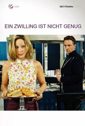 Poster Ein Zwilling ist nicht genug (2004)