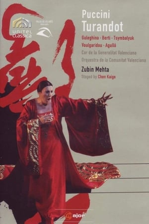 Poster di Turandot: Palau de les Arts de Valencia