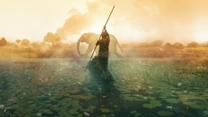 Into the Okavango (2018)