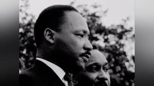 Black America Since MLK: And Still I Rise Out of the Shadows