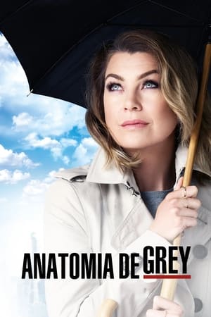 poster Grey's Anatomy - Season 1