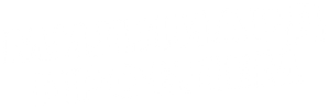 Миллиард проблем — Logos 1