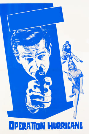 Poster The Violin Case Murders (1965)