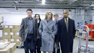 The Good Wife: 1×19