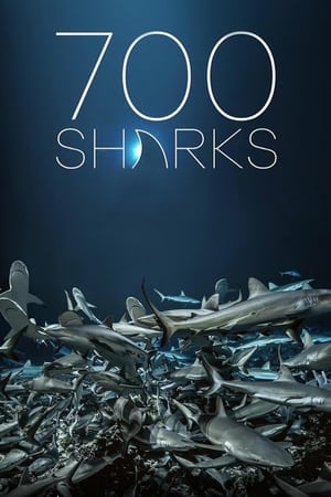 Poster 700 Sharks (2018)