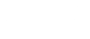 麻花奔月纪实：《独行月球》幕后纪录片