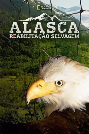 Image Heróis do Alasca