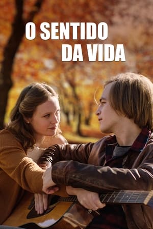 O Sentido da Vida - Poster