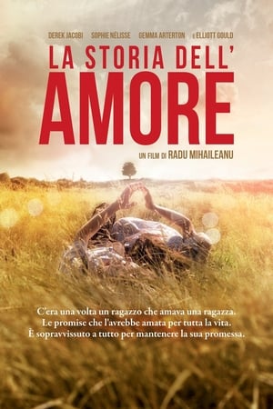 La storia dell'amore