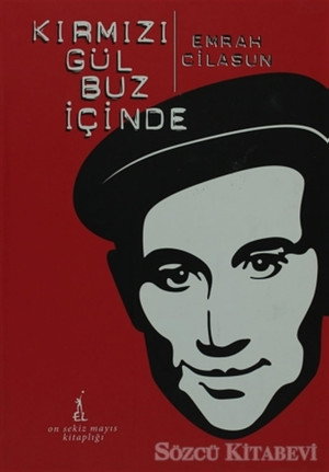 Kırmızı Gül Buz İçinde 2