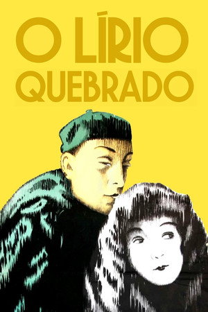 O Lírio Quebrado O Lírio Quebrado
