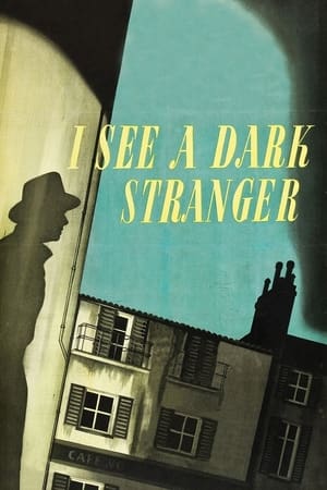 Image I See a Dark Stranger