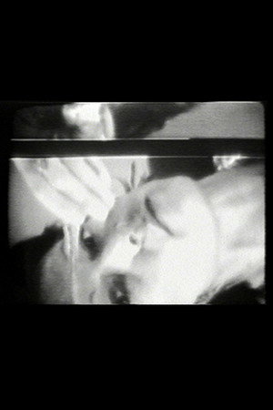 Vertical Roll 3
