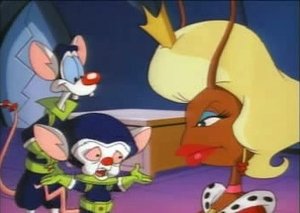 Pinky & der Brain: 2×14