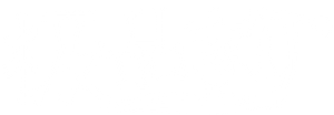 Legend of Ace — Logos 1
