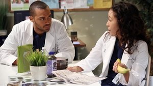 Grey’s Anatomy: Stagione 9 x Episodio 11