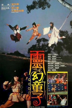 Kung Fu Wonder Child poster
