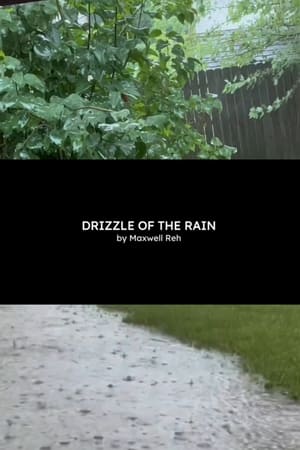 Poster Drizzle of the Rain 2024
