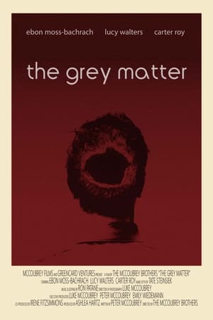 Poster The Grey Matter 2014