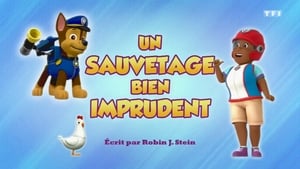 Paw Patrol Helfer auf vier Pfoten: 6×44