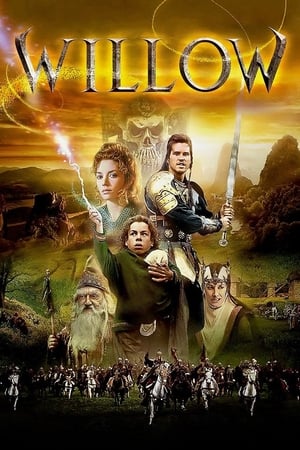 Poster Willow 1988