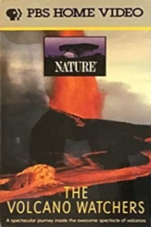 Poster The Volcano Watchers 1987