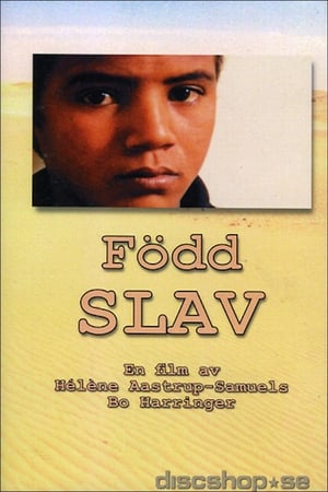 Född Slav (2003)