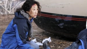 Grey’s Anatomy 8 x Episodio 24