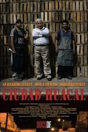 Poster Huacal City (2008)